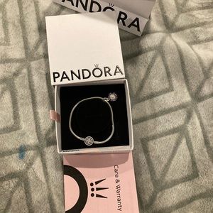 Pandora bracelet and charm